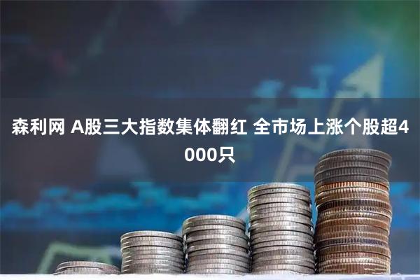 森利网 A股三大指数集体翻红 全市场上涨个股超4000只