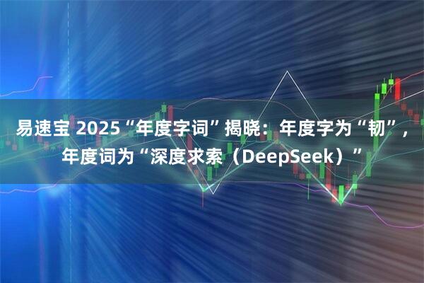 易速宝 2025“年度字词”揭晓：年度字为“韧”，年度词为“深度求索（DeepSeek）”