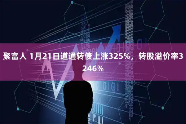 聚富人 1月21日道通转债上涨325%，转股溢价率3246%